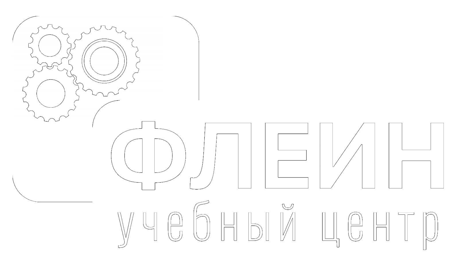 лого флеин прозрачный